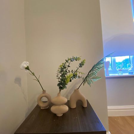 Extra Large Room In New House At Citywest Дъблин Екстериор снимка